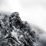 The Wisdom of Zhuang Zi