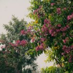 Mr BMG in Ethiopia