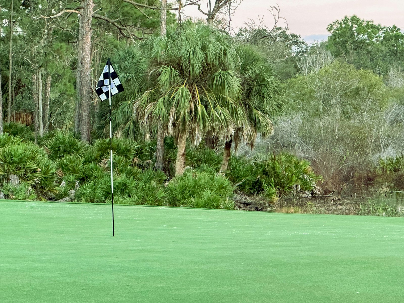 Master the Greens with Ridel Doekoe