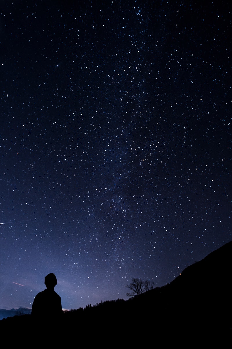 Fallback Image