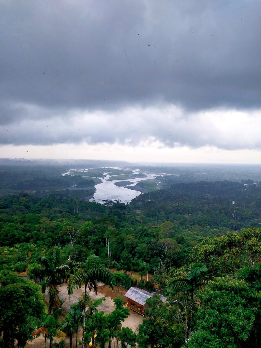 Stunning aerial view of the lush rainforest and river near Puyo, Ecuador, under dramatic clouds.
