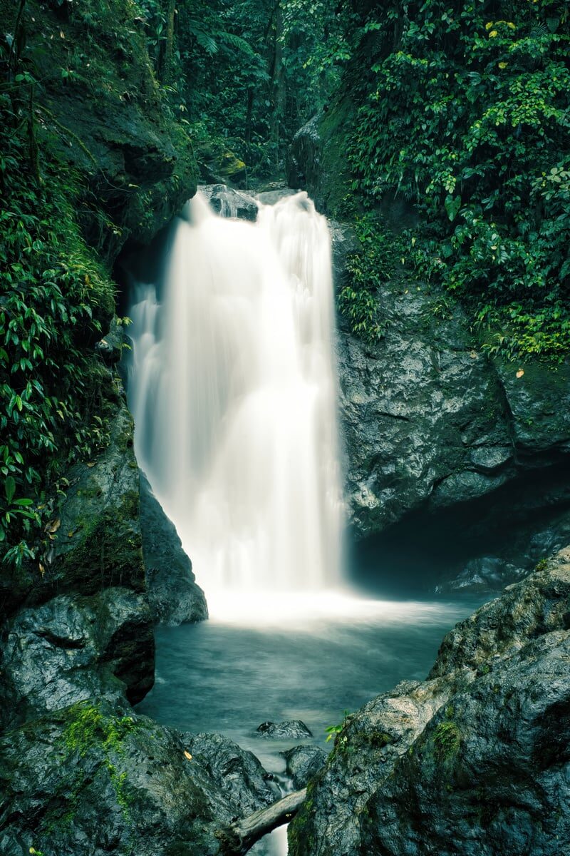 A tranquil waterfall cascading in a lush tropical jungle creating a serene environment.