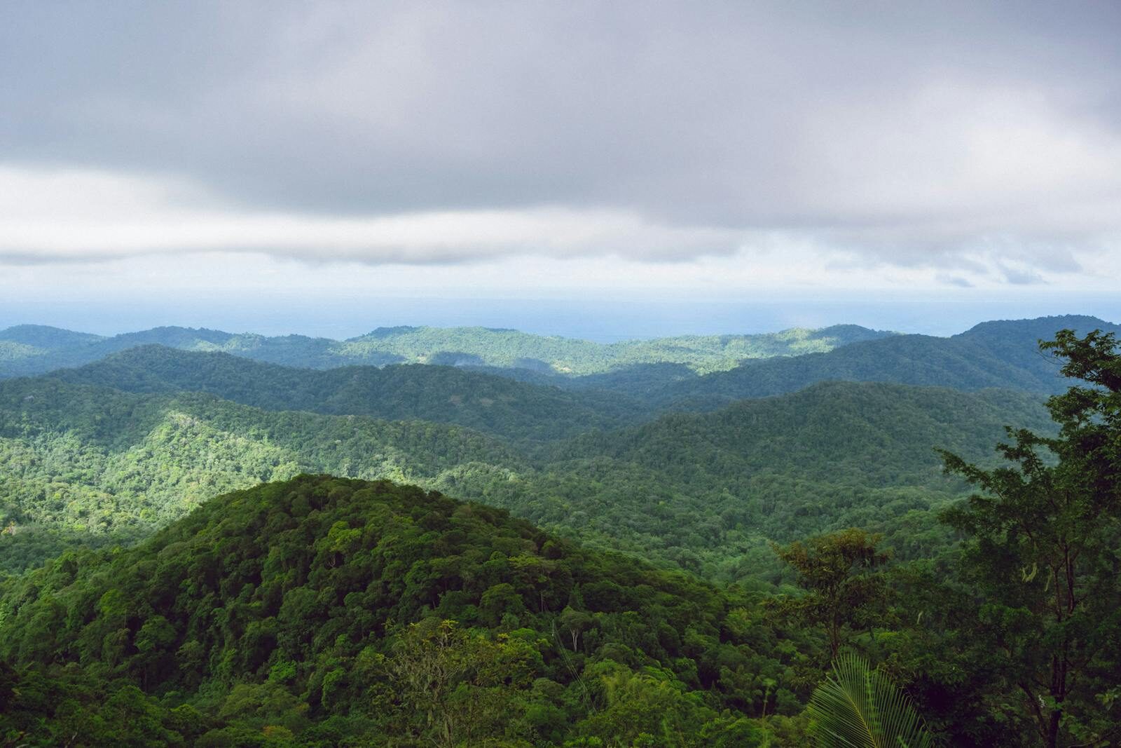 Lush green mountains under cloudy skies in Blanchisseuse, Trinidad and Tobago.